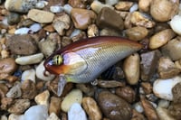 Image 1 of SPEEDBAITS Custom Airbrushed BFS Flatside Wakebait 6366