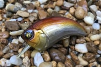 Image 1 of SPEEDBAITS Custom Airbrushed Squarebill Crankbait 3922