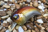 Image 3 of SPEEDBAITS Custom Airbrushed Squarebill Crankbait 3922