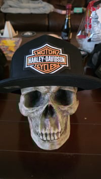 Harley Davidson trucker hat 