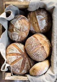 Dehydrated Sourdough Starter