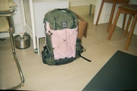 Image 2 of Alpine Alligator