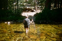 Image 3 of Alpine Alligator