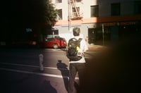 Image 4 of Alpine Alligator