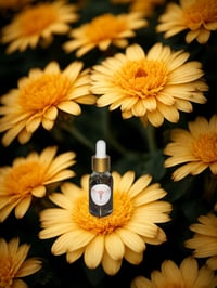 Yoni PHresh Yoni Oil