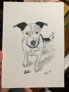 Image of custom pet portrait: original watercolor 5x7 or 8x10