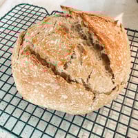 Image 2 of Sourdough Starter