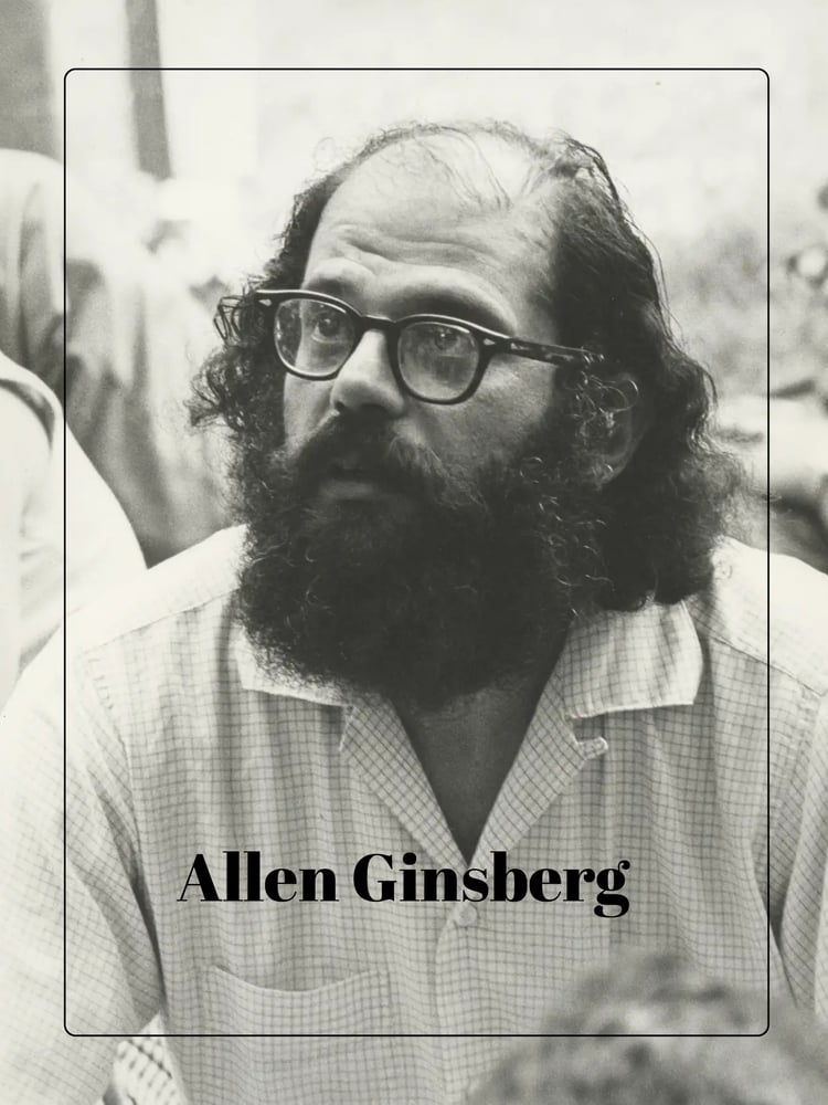 Image of GINSBERG ⼺2