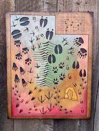 Animal Tracks