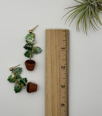 Image 3 of Climbing Monstera Earrings
