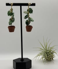 Image 4 of Climbing Monstera Earrings