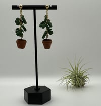 Image 5 of Climbing Monstera Earrings