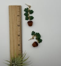 Image 7 of Climbing Monstera Earrings
