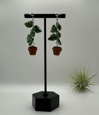 Image 8 of Climbing Monstera Earrings