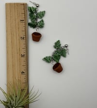 Image 9 of Climbing Monstera Earrings