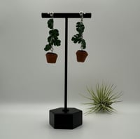 Image 12 of Climbing Monstera Earrings