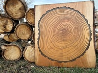 Tree Ring
