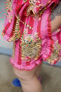 Image 3 of Tiger Set (16)