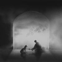 Image 1 of PERSIMMON