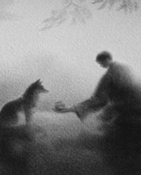 Image 2 of PERSIMMON