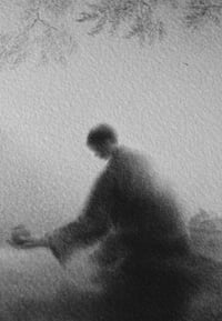 Image 3 of PERSIMMON