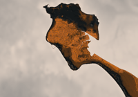 Image 2 of Noirmoutier