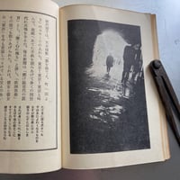 Image 9 of Runaway: The Documentary by Terayama