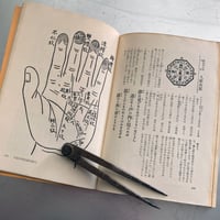 Image 18 of Runaway: The Documentary by Terayama