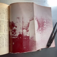 Image 25 of Runaway: The Documentary by Terayama
