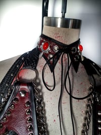 Image 5 of Oxblood Outlaw Set