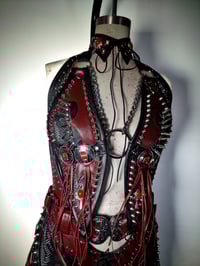 Image 7 of Oxblood Outlaw Set