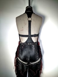 Image 13 of Oxblood Outlaw Set