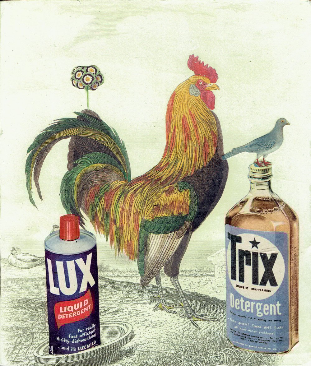 Image of THE BIG COCK