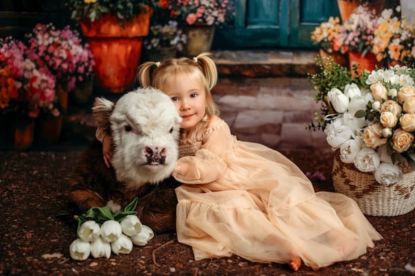 Image of Mentoring 1.1