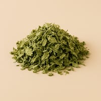Image 2 of Lemon Balm Glycerite