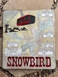 Snowbird Topo
