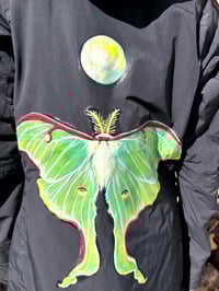 Image 3 of Luna Moth & Moon
