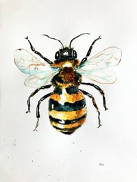 Image 1 of Bee Original Watercolour painting