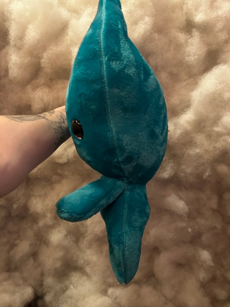 Image of Teal Gibbie