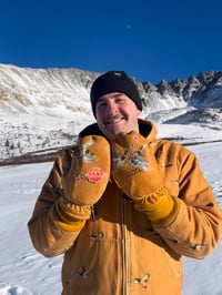 Image 2 of Space Mallard Mittens