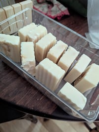 Gardinia loofa soap