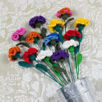 Image 1 of Carnation