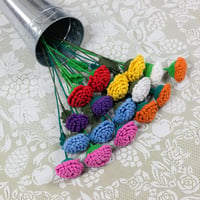 Image 1 of Chrysanthemum
