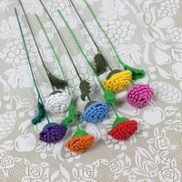 Image 2 of Chrysanthemum