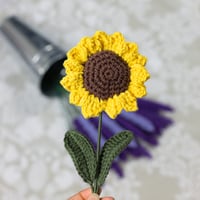Image 2 of Sunflower