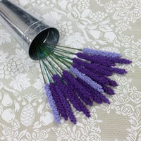 Image 1 of Lavender