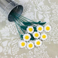 Image 1 of Daisy