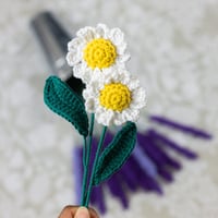 Image 2 of Daisy