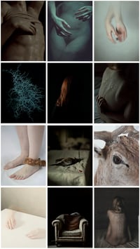 Apegos feroces  <br> <b> Limited Copies</b>