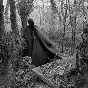 Image of Noirsuaire – The Wrath of the Silent Temples 12" LP